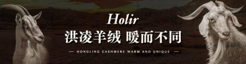 星云有客携手知名抖音电商品牌洪陵羊绒私域成服饰行业护城河