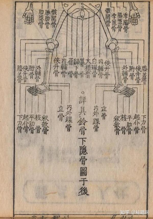 罕见日本中医古籍《骨繼療治重寶記》高志鳳翼.著 - 知乎
