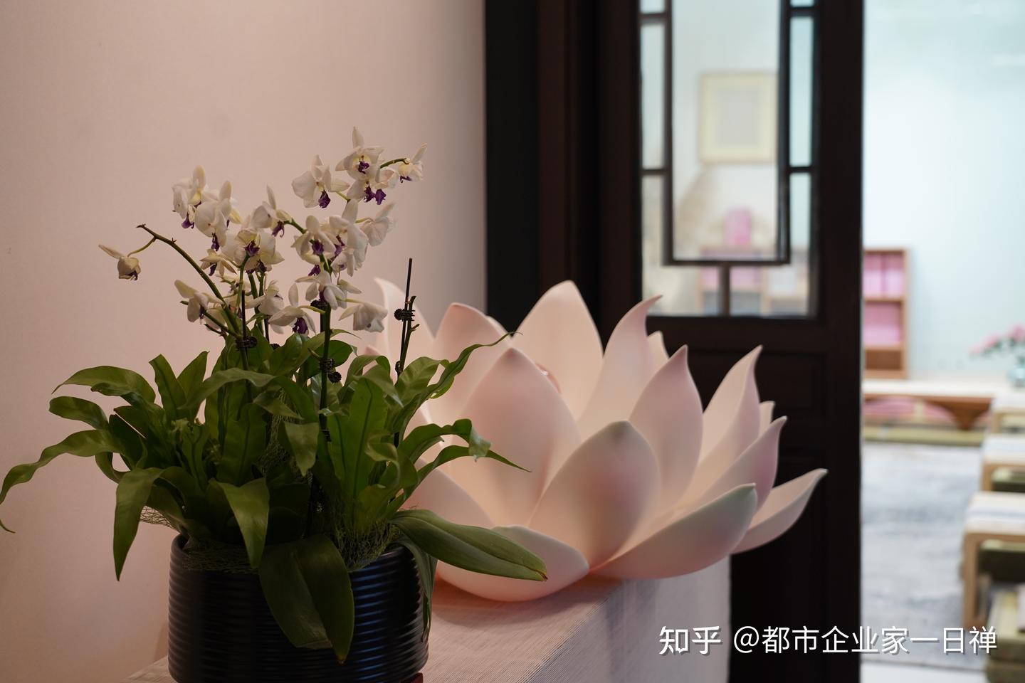 做到这四点，才是真正的“人间清醒”！ - 知乎