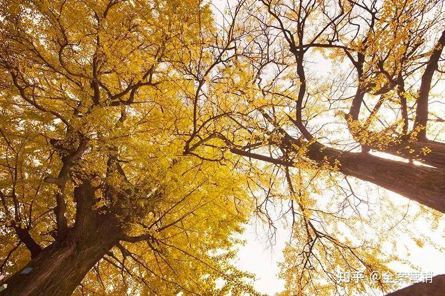 争创天府旅游名县|再见2022,细数那些时光里的小美好