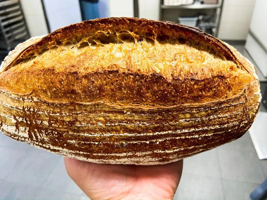 硬核干货丨做一次需要24小时 免揉面的酸面包sourdough 知乎