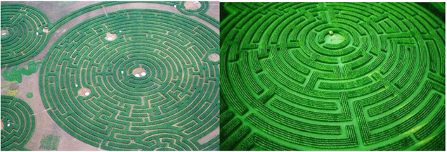 主题植物迷宫如何打造?