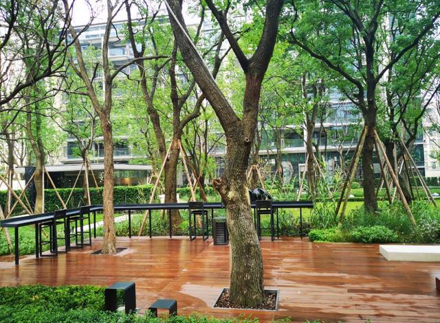 逛地产,龙湖尘林间,新加坡式景观