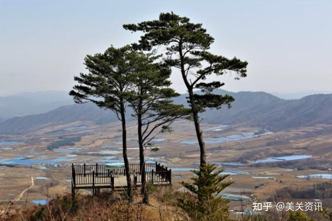 裸木的天堂韩国江原道杨口郡