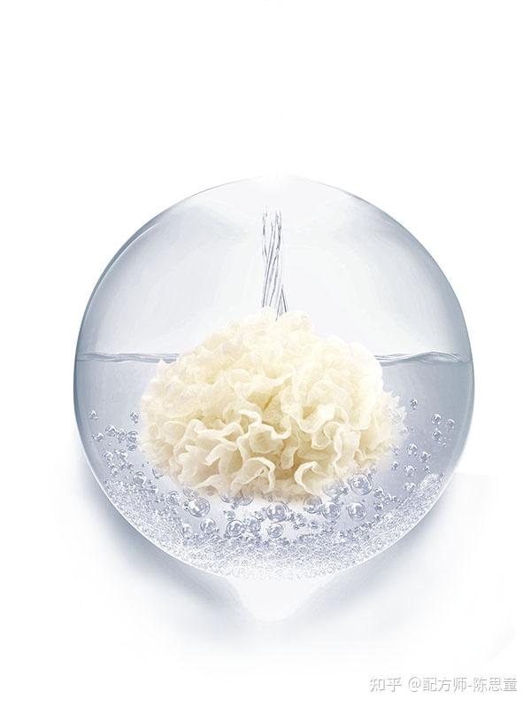 每周了解一个护肤成分银耳多糖植物胶原蛋白