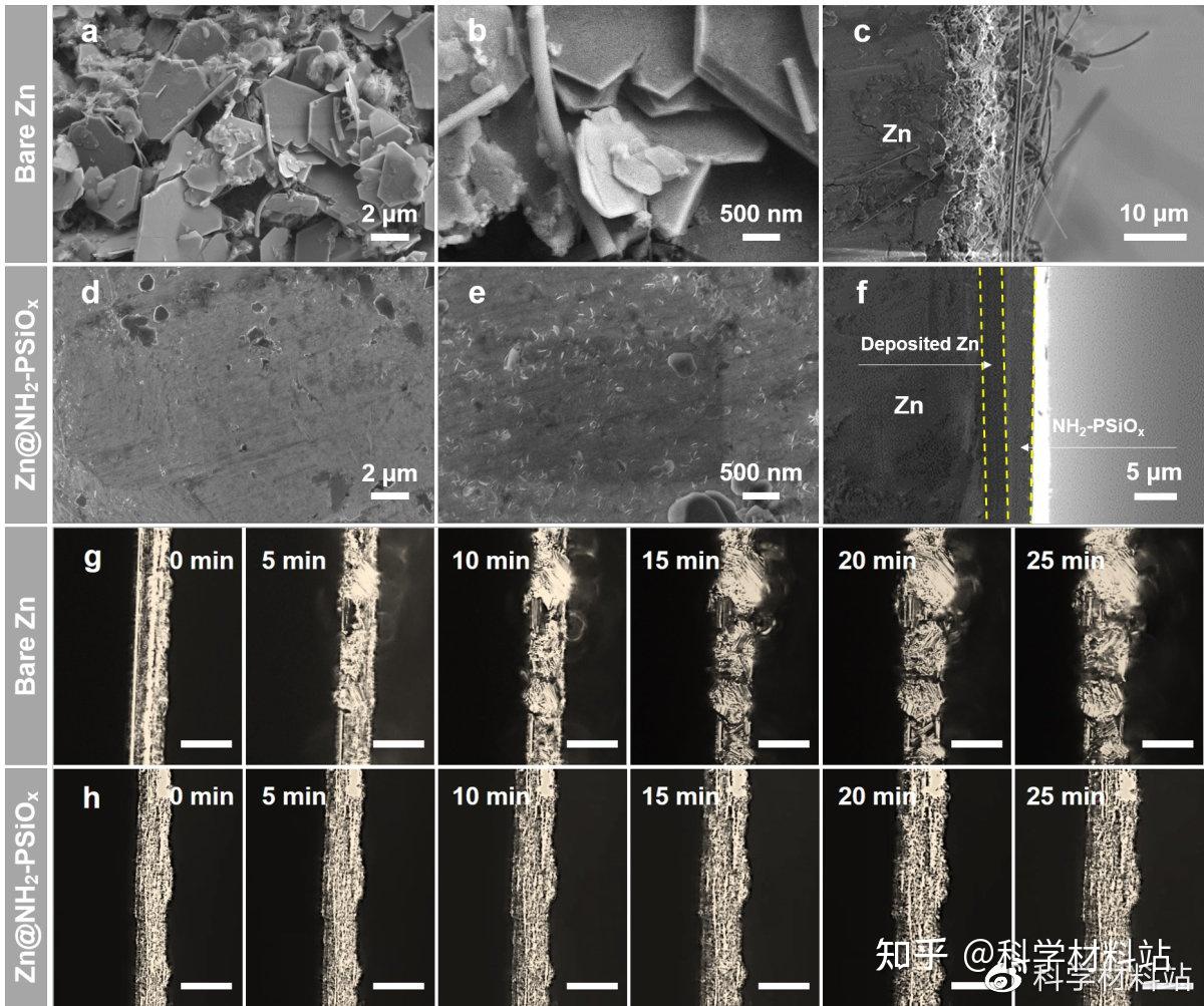 山东大学杨剑教授 EnSM:疏水、亲锌和稳健的氨基功能化聚硅烷的分子解析用于无枝晶锌负极 - 知乎