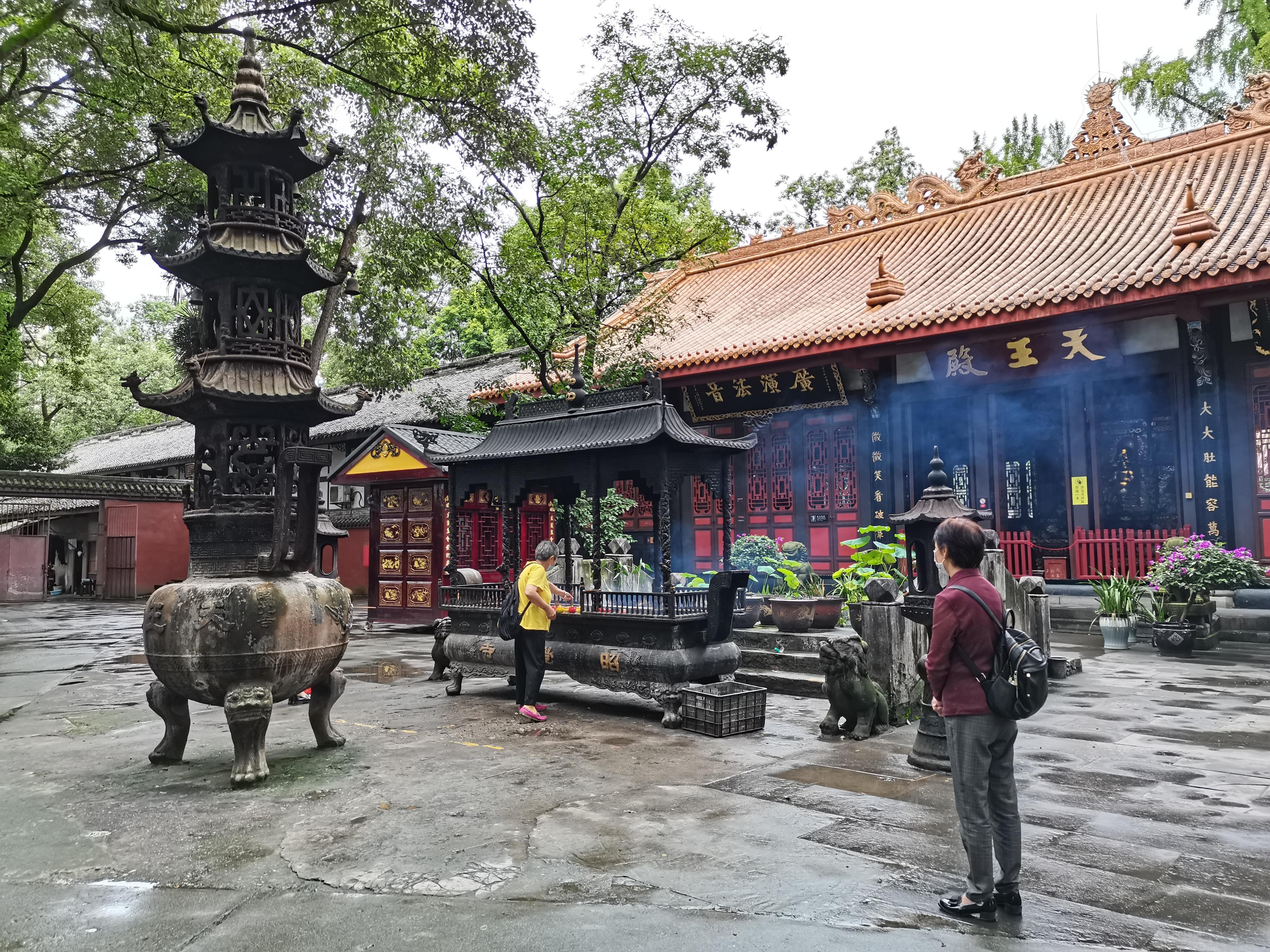 成都成華擁有城市名片熊貓基地和龍潭水鄉值得來打卡