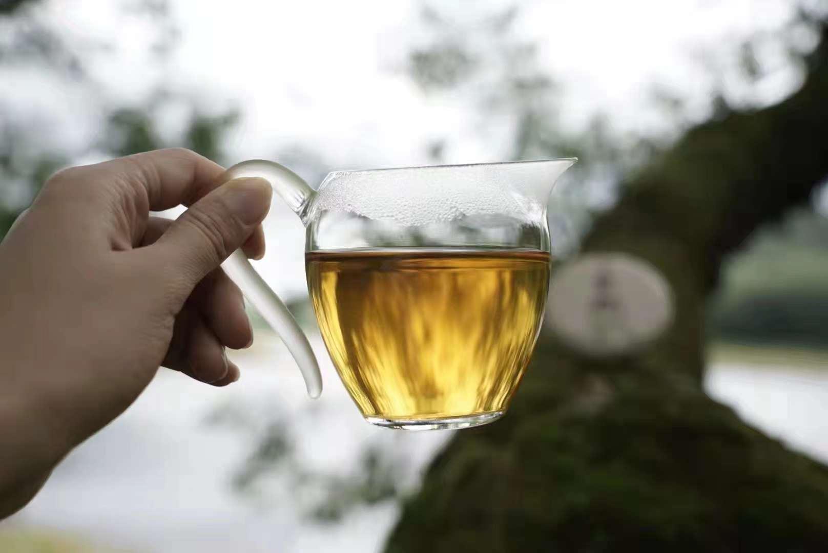 05 曼松普洱茶