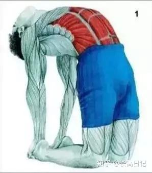 v2-11f998d5ef28c22a0a39d9c3e21fadf9_b.jpg