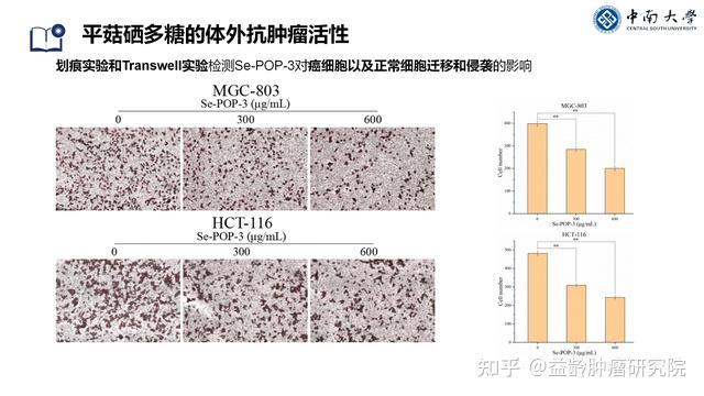 “硒”收差异背后的抗癌密码，别再错信硒抗癌，此硒非彼硒 - 知乎