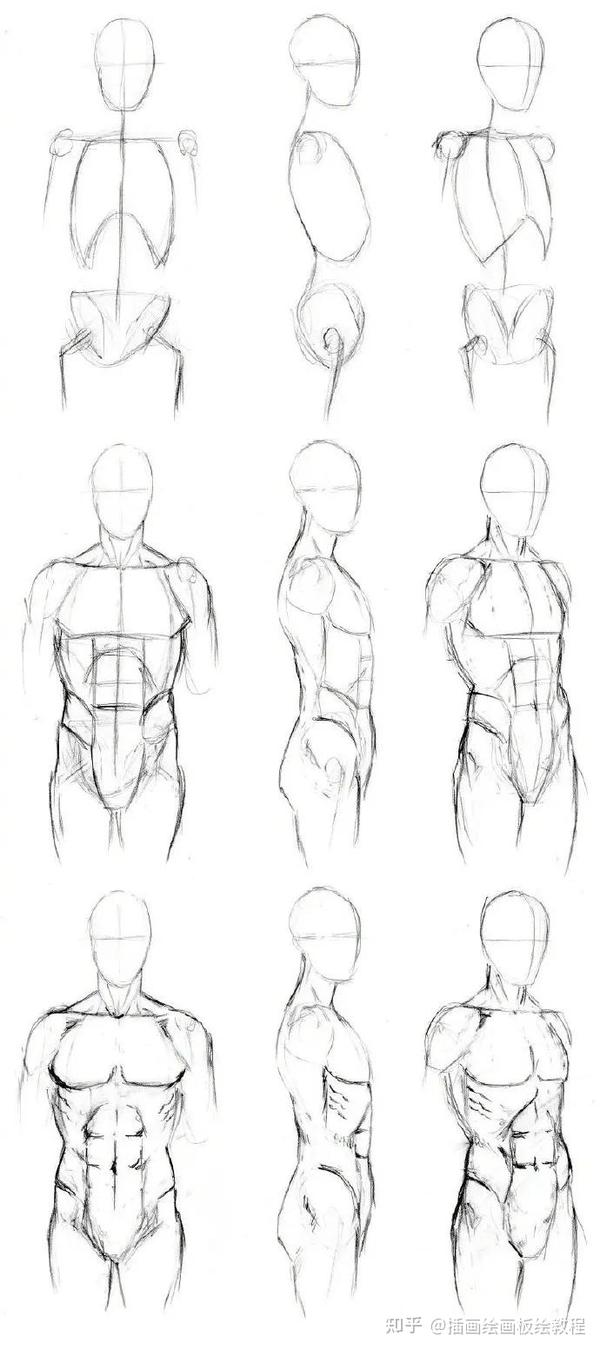 绘画教程 动漫的肌肉怎么画 初学者教程 人体肌肉的正确画法教程 知乎
