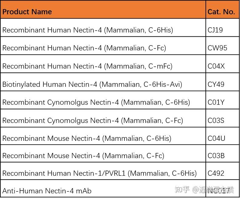 Nectin-4，ADC新兴靶点，治疗转移性尿路上皮癌 - 知乎