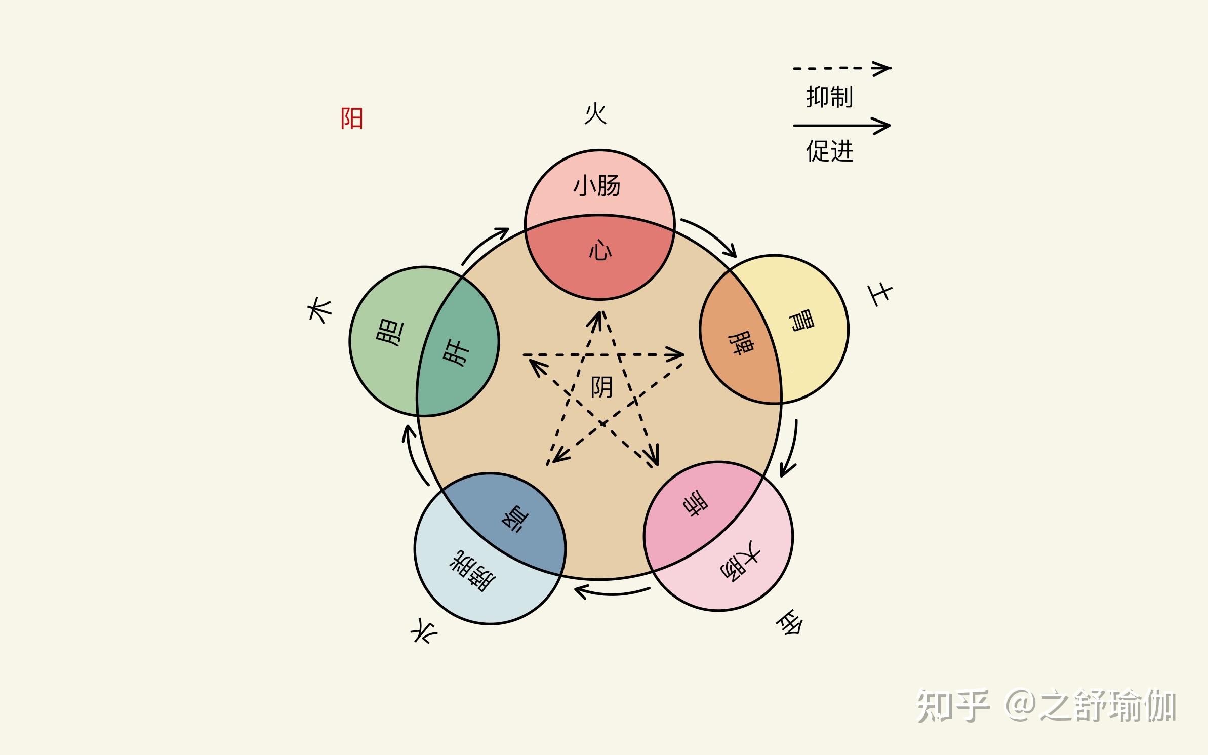 中医讲阴阳,很多病症都由阴阳失调所致,当阴阳调和,病也就好了!