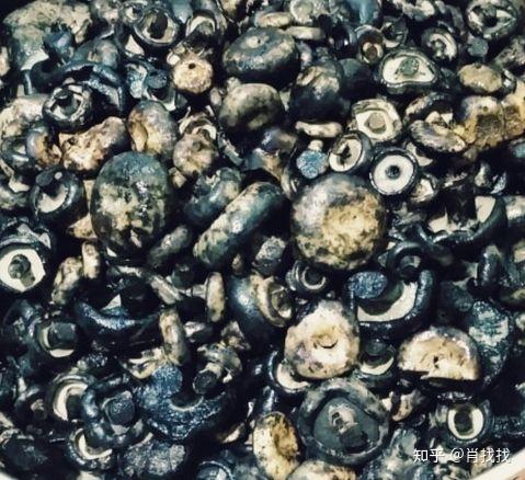 3,黑炭菌炒铜绿菌<br>图片来源于网络这是我心中第二