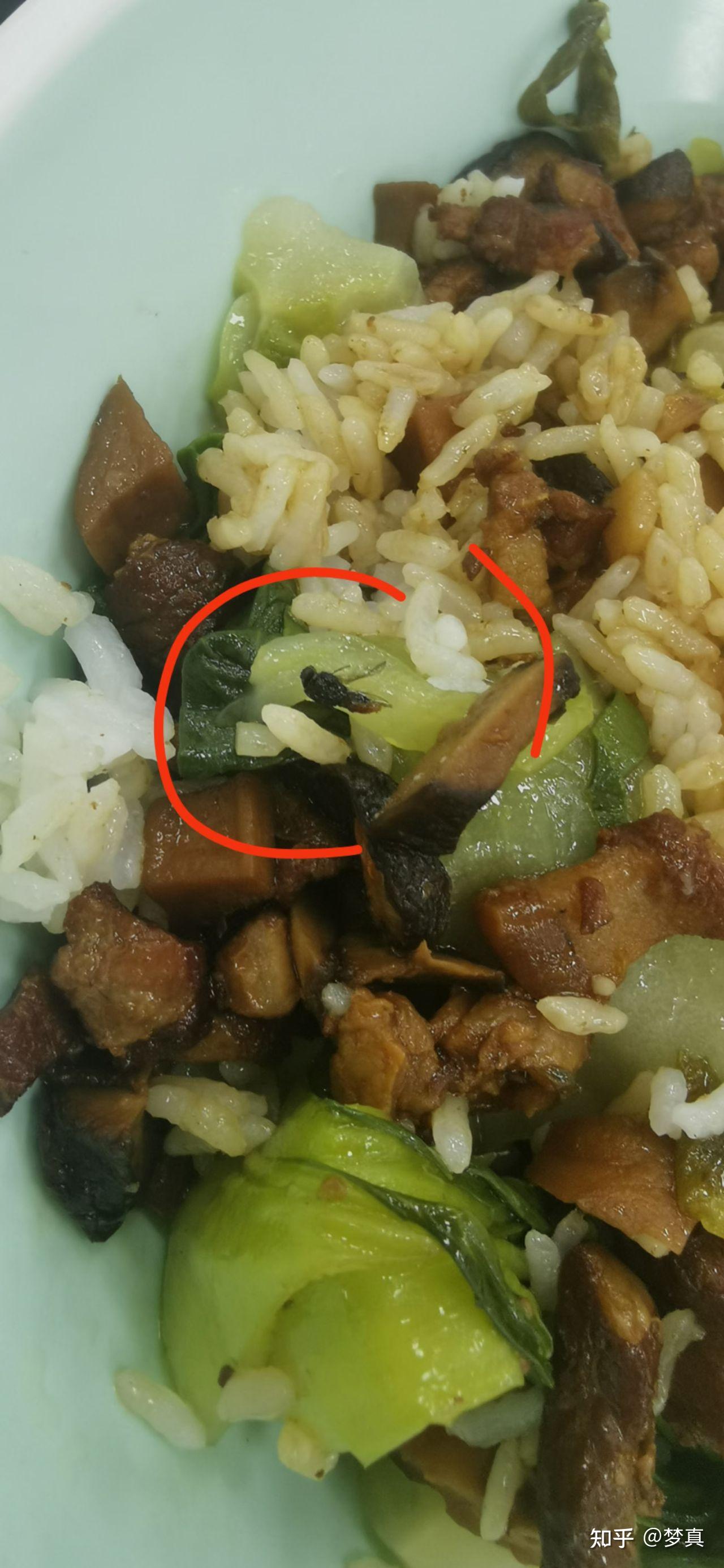 又难吃,量又少,人流量又多,窗口又少,饭菜又不卫生等问题?