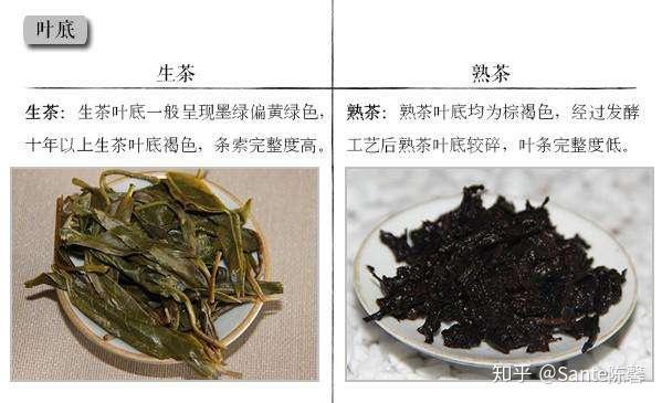 普洱如何区分生普熟普