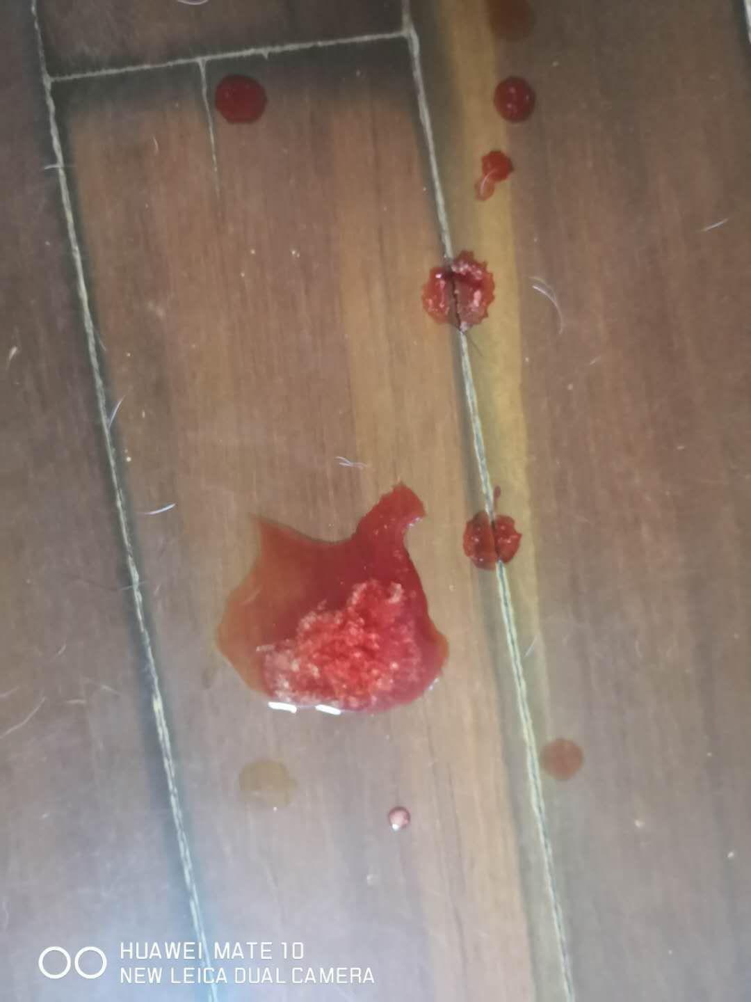 狗尿路结石与食疗系列 磷酸盐结石 知乎 狗尿路结石与食疗系列 磷酸盐结石 知乎