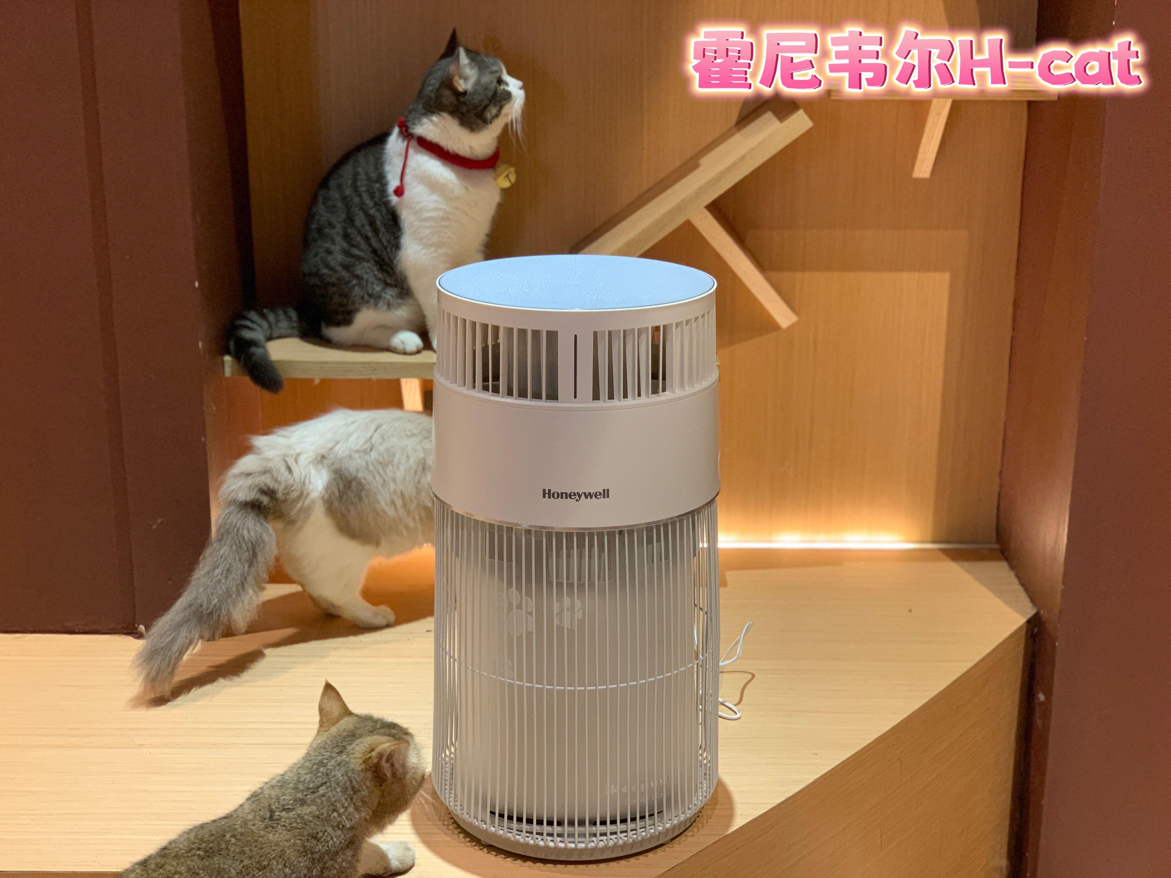 v2-12520319ec989dd3c859a07c48eff41e_r.jpg