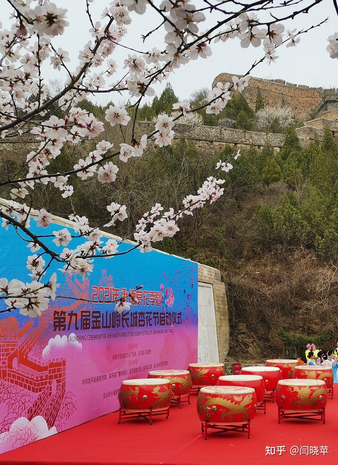 4月2日,2021年承德赏花季暨第九届金山岭长城杏花节在砖垛口广场拉开