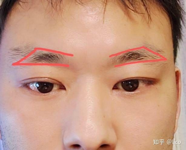 扫把眉怎么修呢