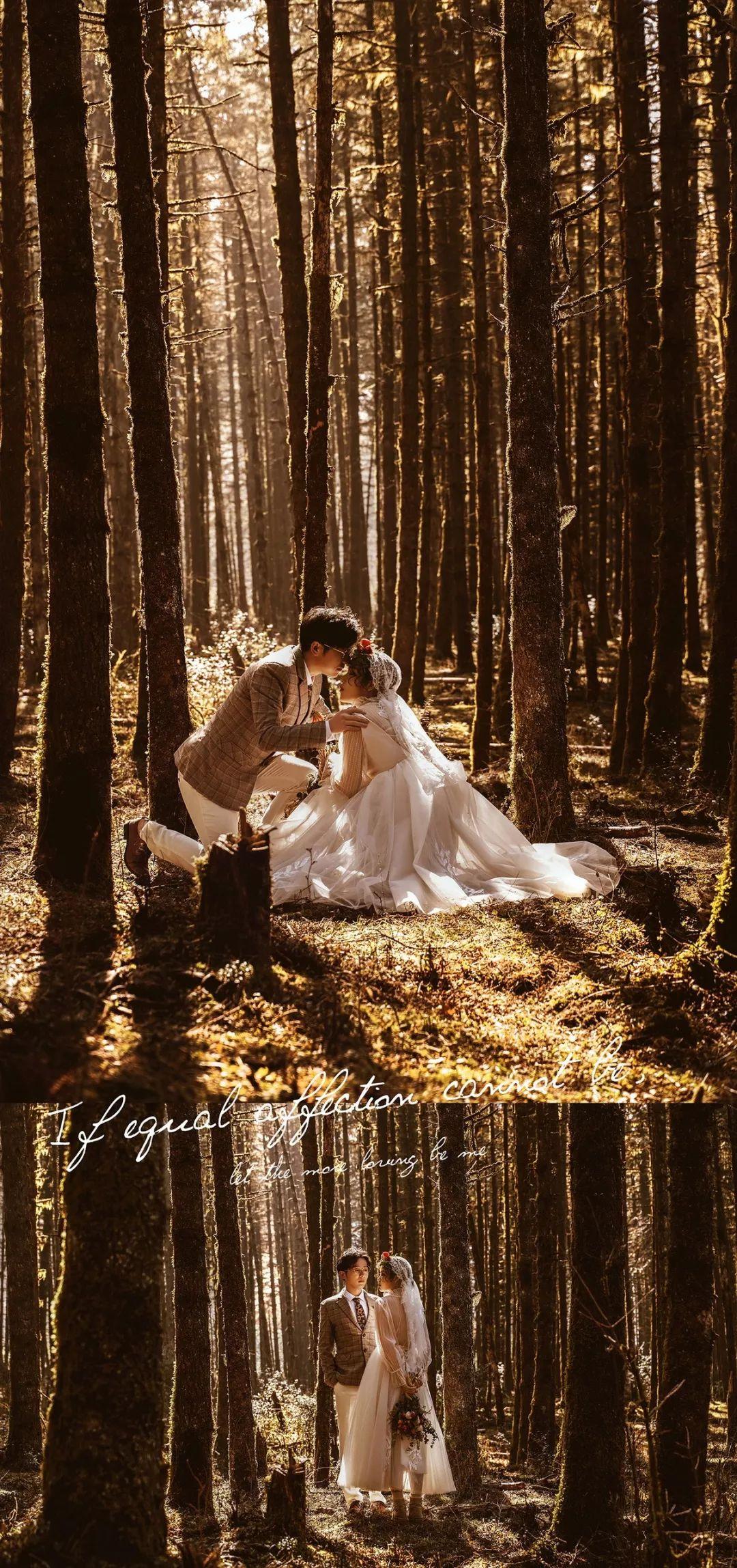 子沐映画许你一处暮光森林