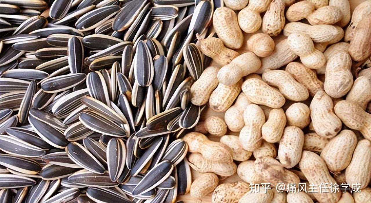 痛风患者能吃花生瓜子吗，这几道荤菜不用忌口 知乎