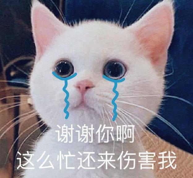 v2-129d70e0863f9ce24ba112bd5df63660_1440w.jpg?source=172ae18b