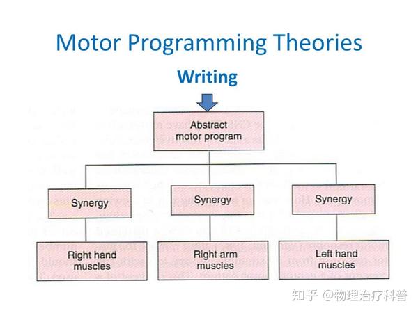运动控制理论（THEORIES OF MOTOR CONTROL） 知乎