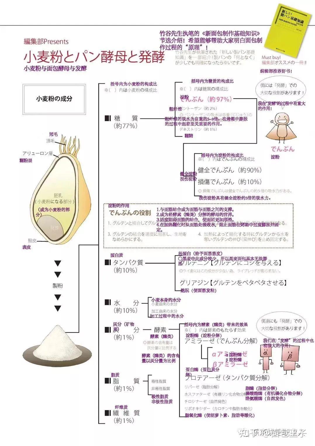 夯实基础!常用的6款日式面粉全测评!带你发现你不知道的面粉特性! - 知乎