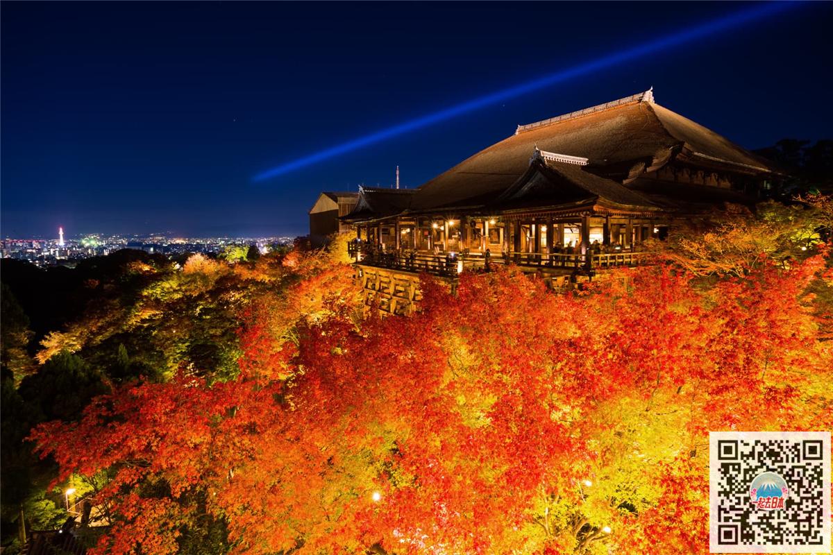 金秋之夜同样精彩夜枫亮灯景点25选