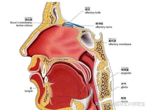 这些情况出现身体正在癌变建议发现后及早就诊