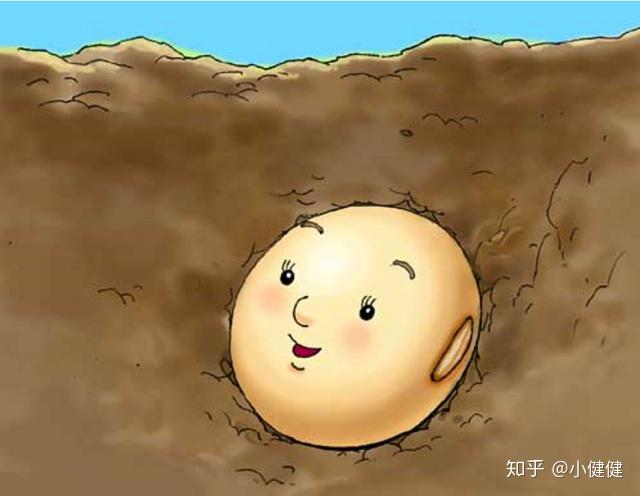 种子vs土壤胚胎vs内膜想要怀孕谁更重要