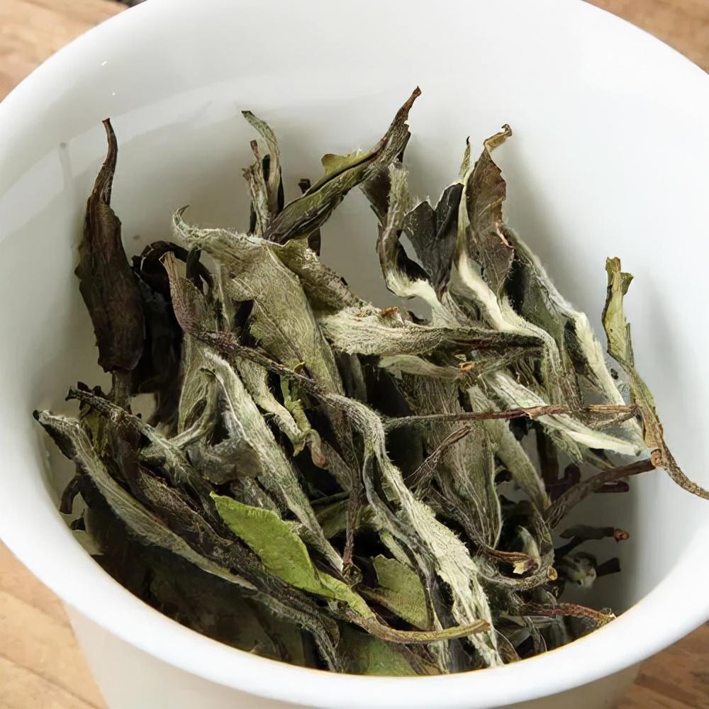 白茶 | 白牡丹 -- 茶中花魁 宛如蓓蕾初放的白牡丹