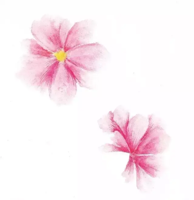 彩铅教程水溶彩铅退晕法的案例分析