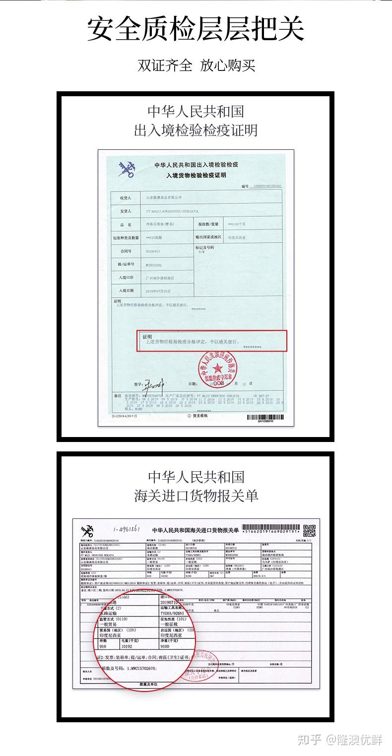 免费送印尼石斑鱼.