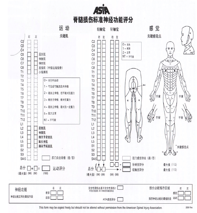 脊髓损伤评估表图图片