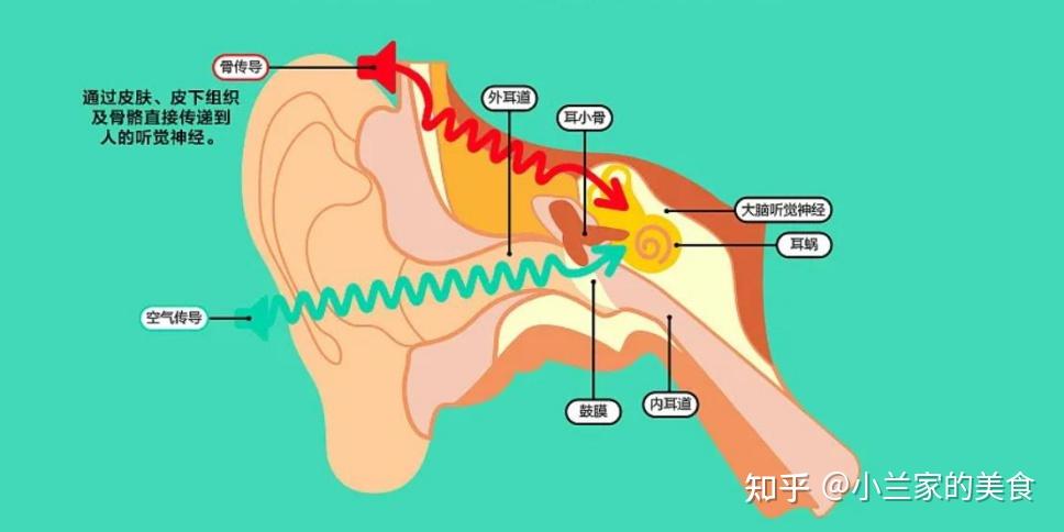 骨传导耳机结构图图片