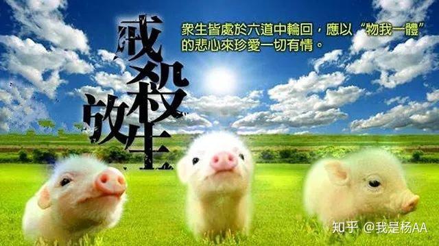 转载:鬼故事《下界见闻笔记9》