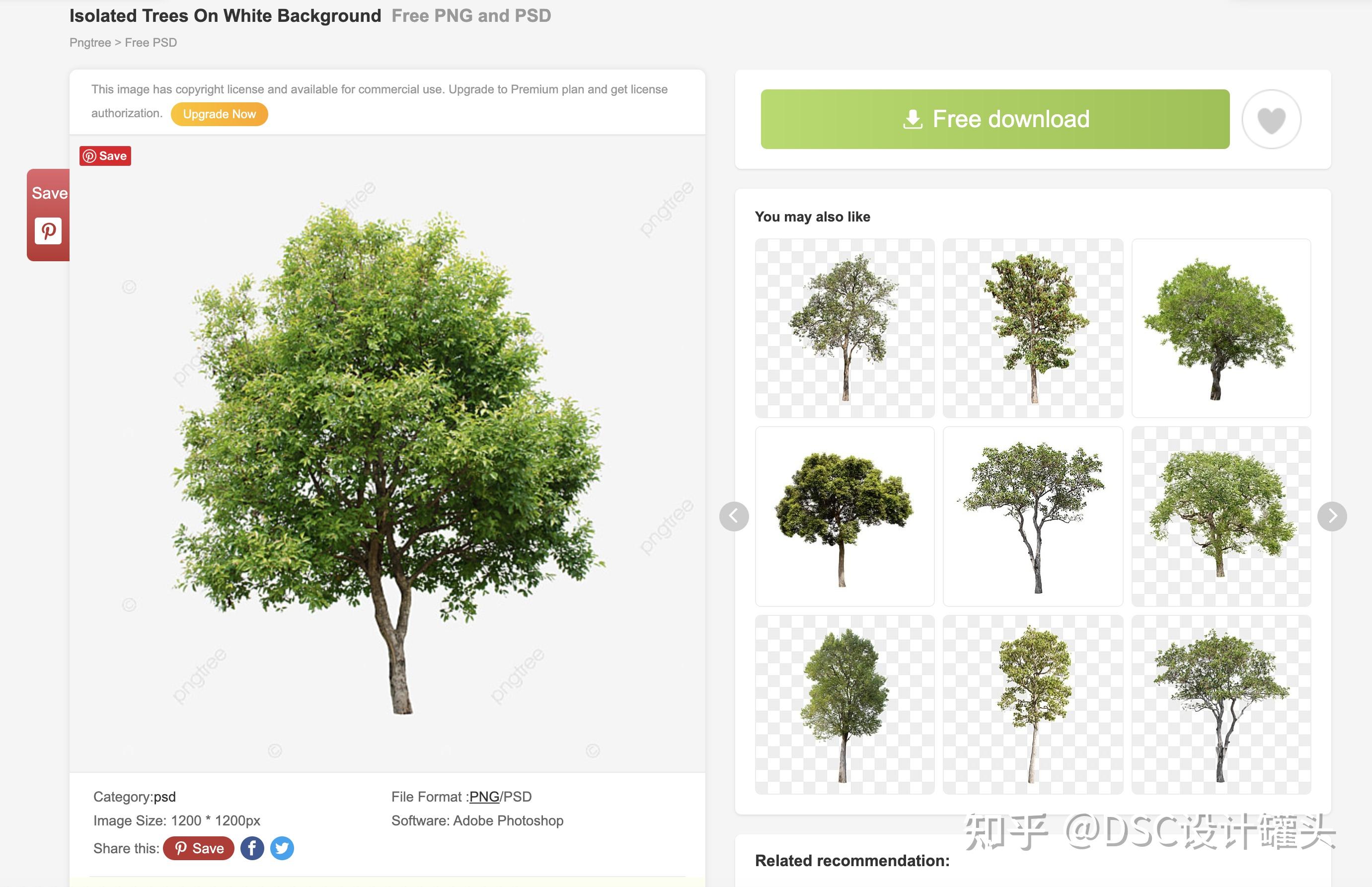png tree是一个全面的平面素材网站,除了植物png素材之外,网站还提供