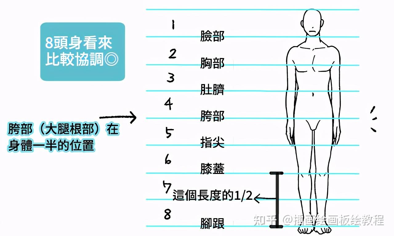 腿长怎么量图片图片