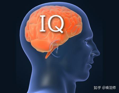于是,"iq是什么意思?"我举手问道.