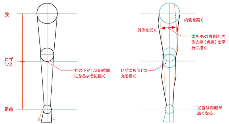 正面腿部画法图片