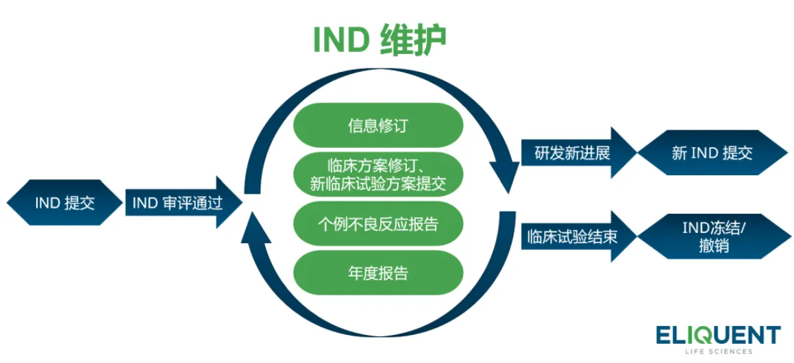 Ind Module Overview IND 维护:确保临床试验中的患者安全和数据完整性 - 知乎