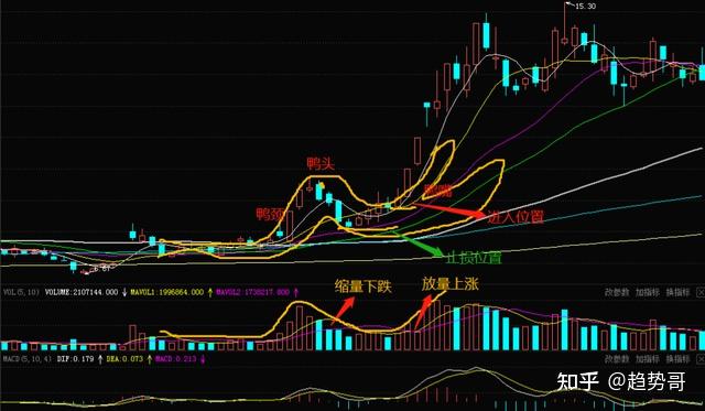 鸭嘴形态股票图片图片