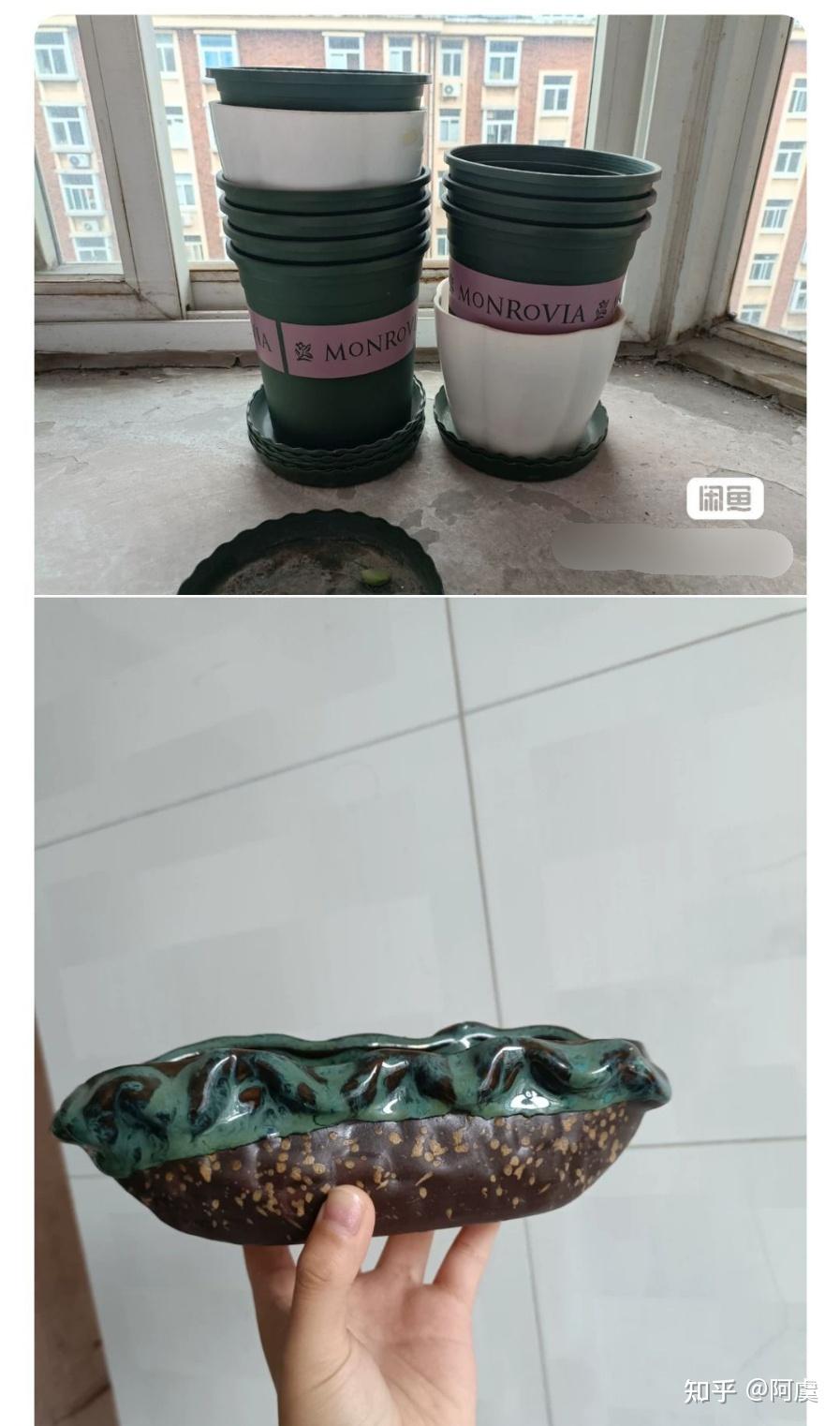 还有从公司宿舍带回来的二十多个花盆,喜欢月季,也不是养不活,那时候