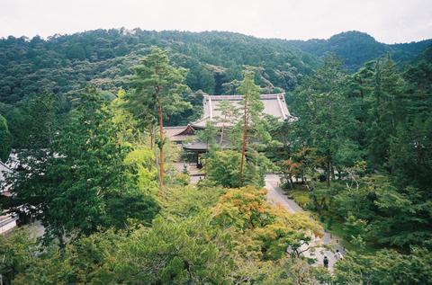 " 在爬到伏见稻荷的山顶后,我这样和身边的骄儿说.爬山的