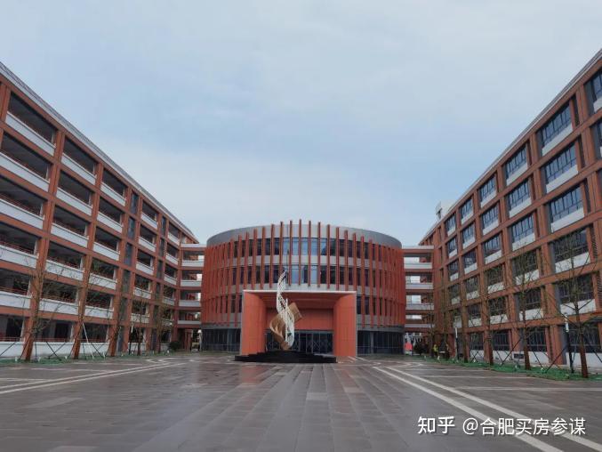 合肥高新区迎来学校大升级!
