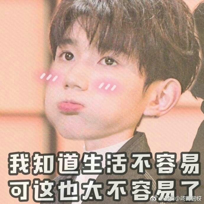 如何看待王源粉丝大规模爬墙史强?(手动狗头)