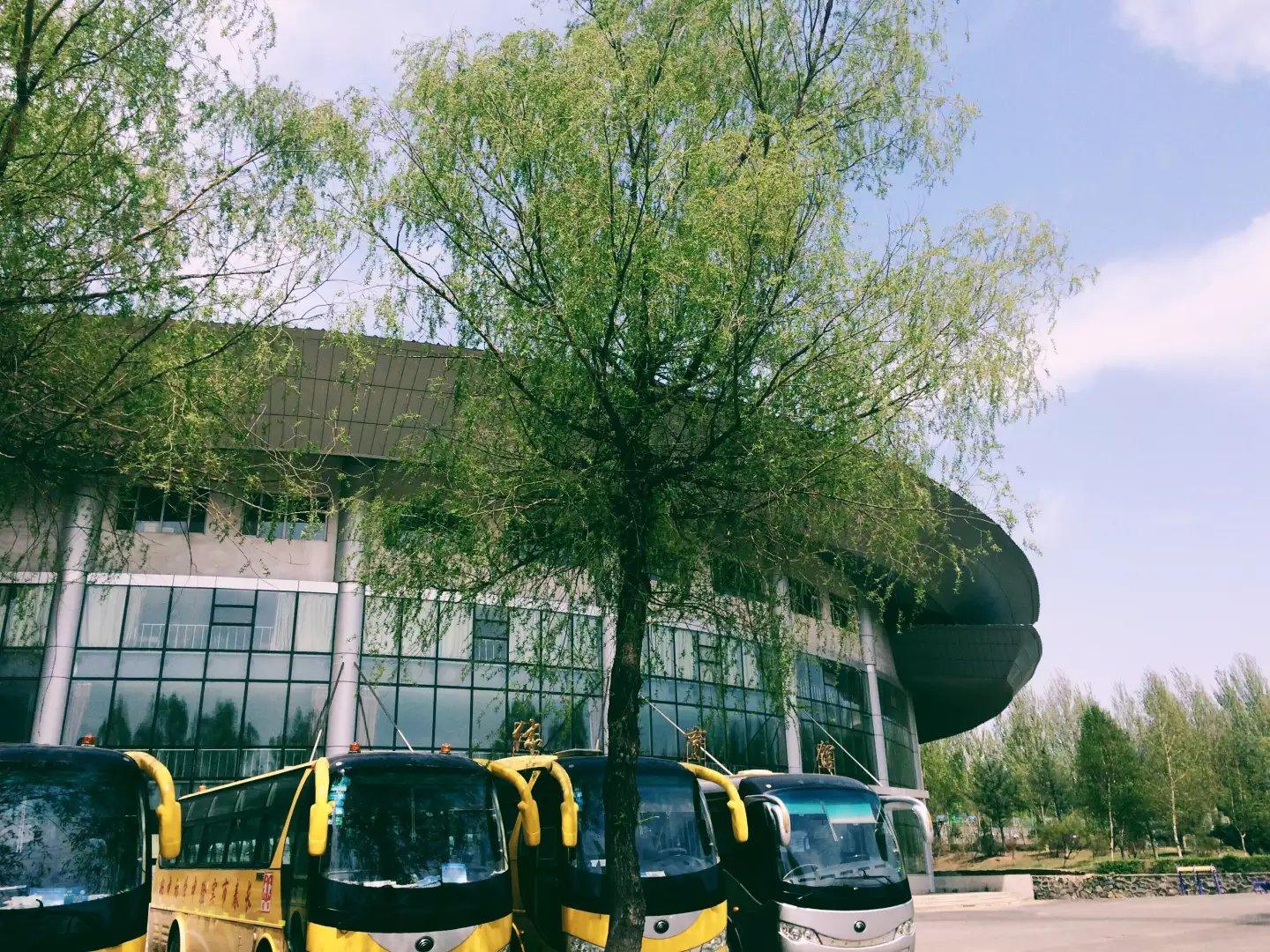 在长春市实验中学就读是一种怎样的体验?