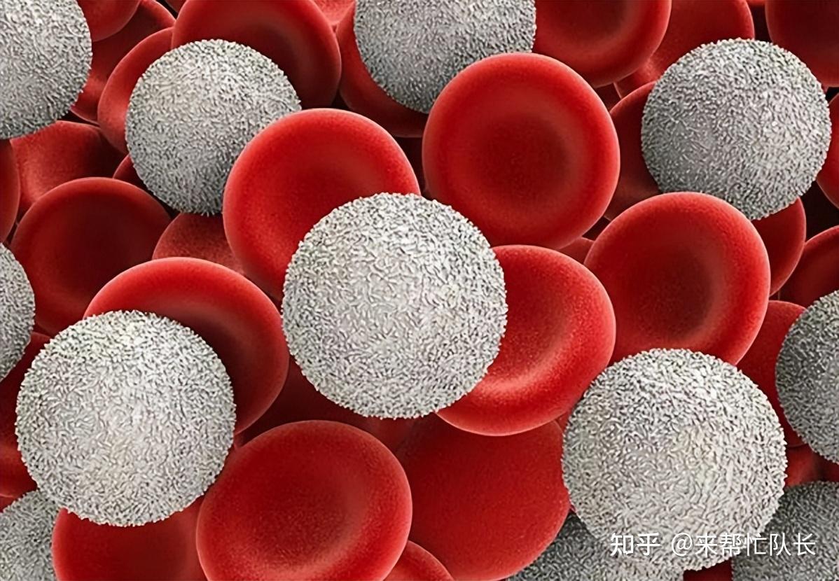 粒细胞缺乏症可见于什么人群可出现什么症状表现